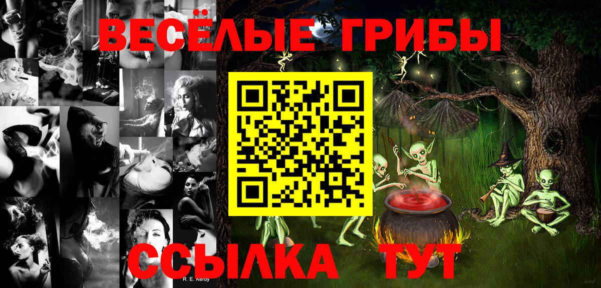 Галлюциногенные грибы Cubensis  Вход с VPN  Братск 