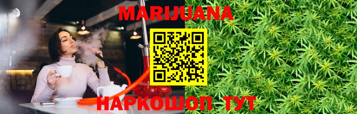 Бошки Шишки планчик  Вход с VPN  Братск  Шишки марихуана план  Бошки марихуана SATIVA & INDICA 